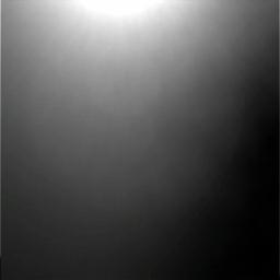 The Image