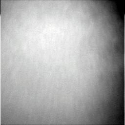 The Image