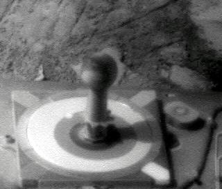 The Image