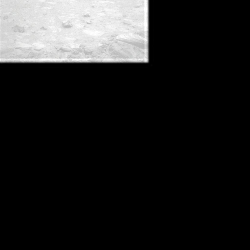 The Image