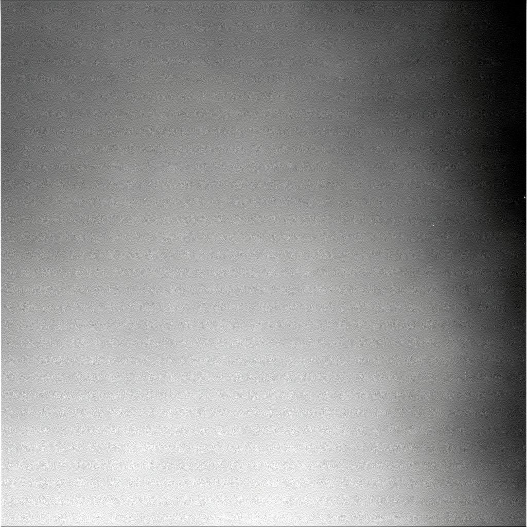 The Image