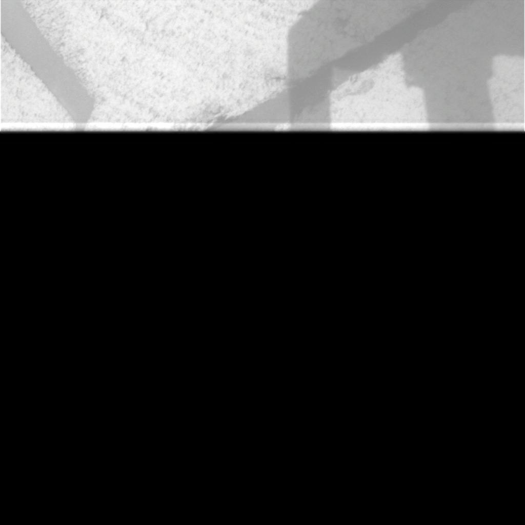 The Image
