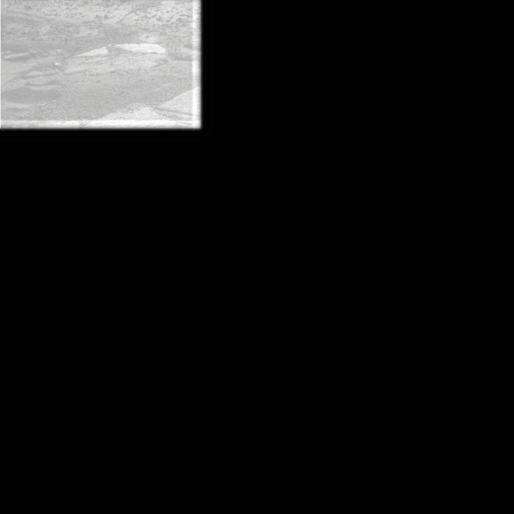 The Image