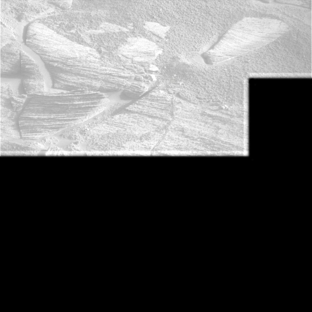 The Image