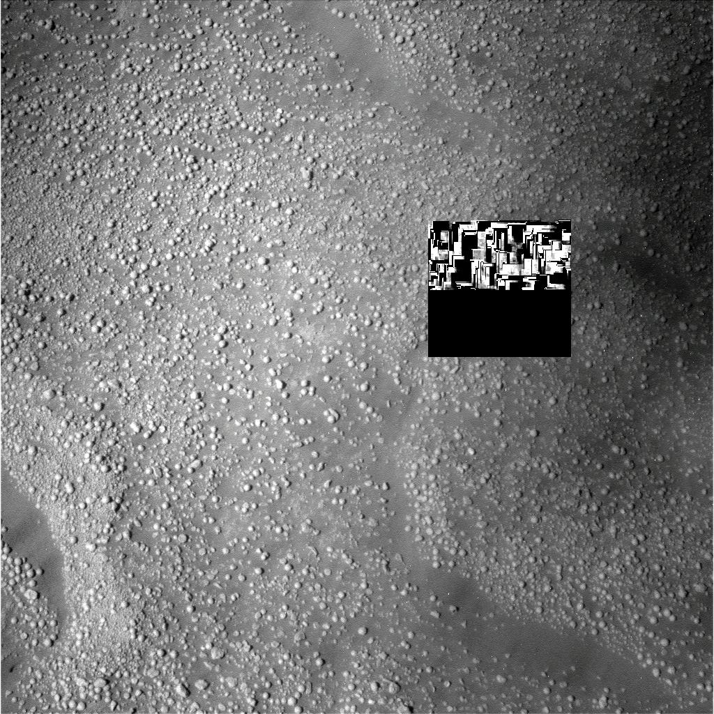 The Image