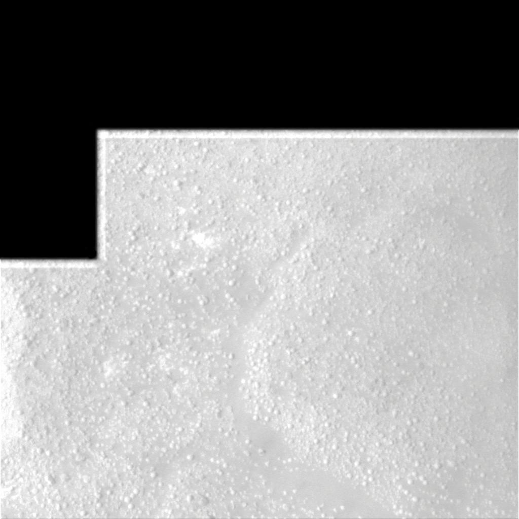 The Image