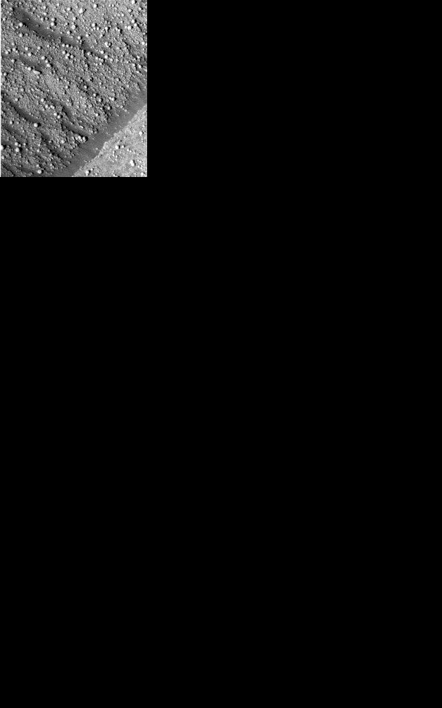 The Image