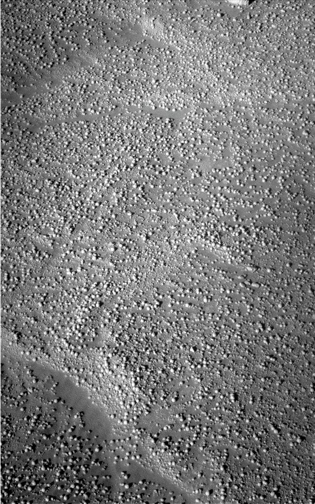 The Image