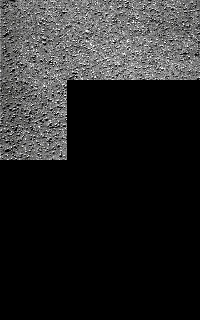 The Image