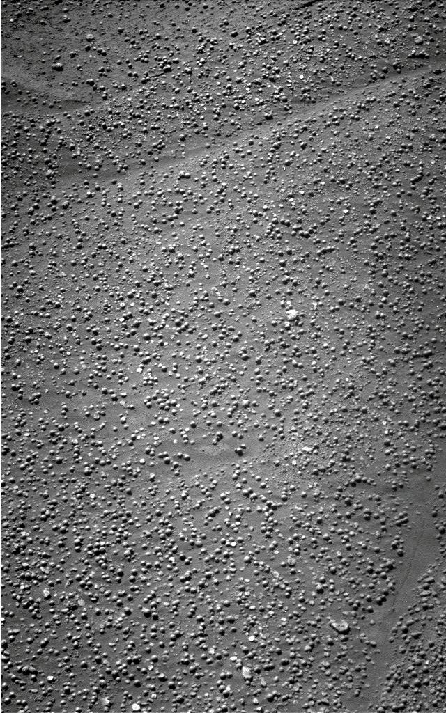 The Image