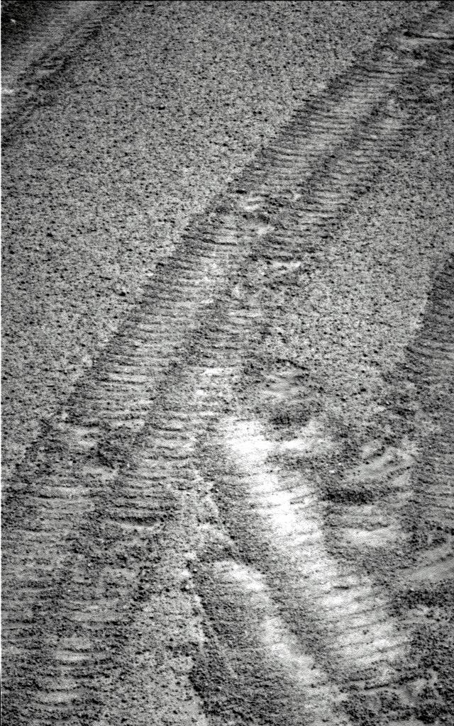 The Image