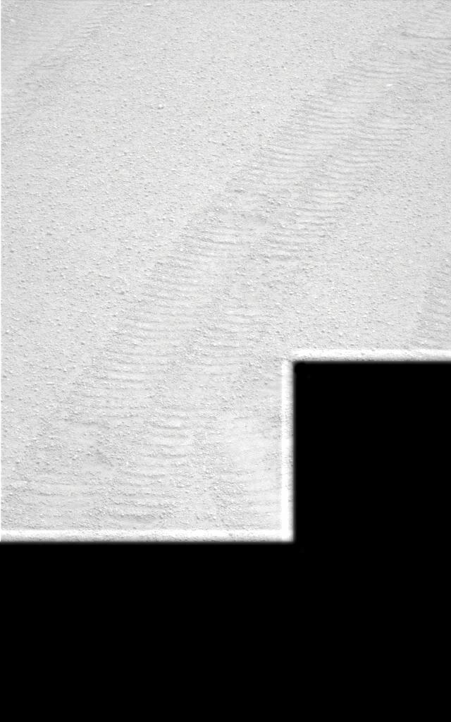 The Image