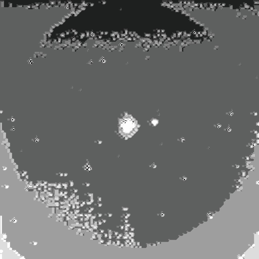 The Image