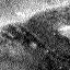 The Image