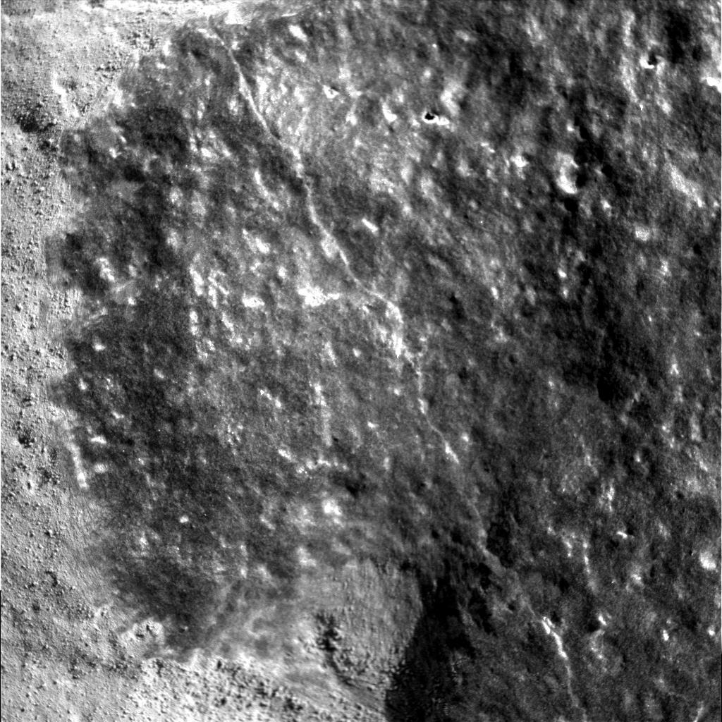 The Image