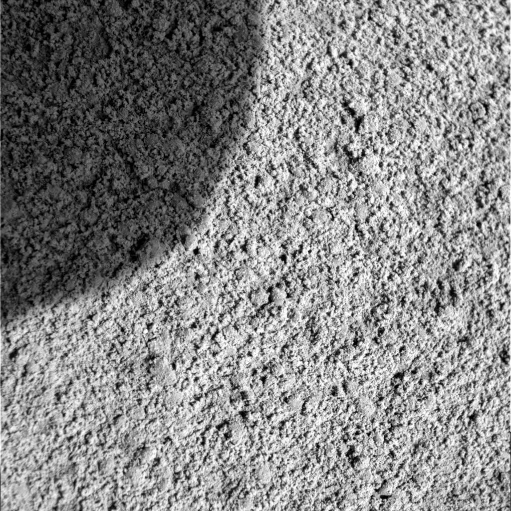 The Image