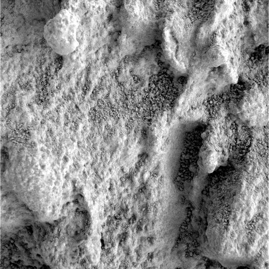 The Image