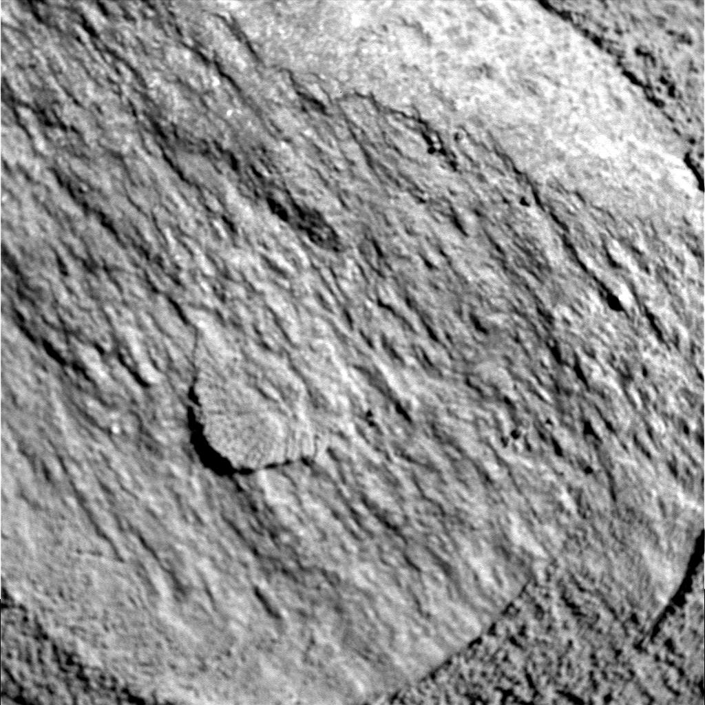 The Image