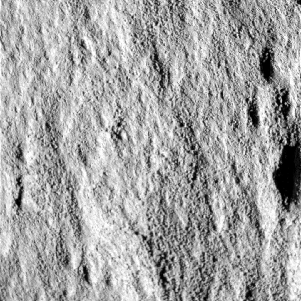 The Image