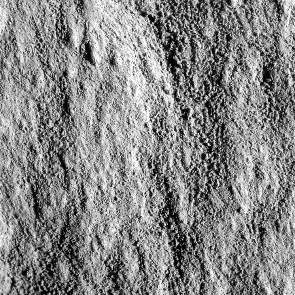 The Image