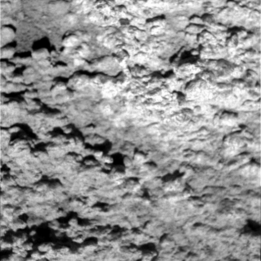 The Image