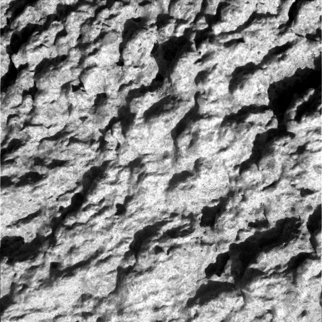 The Image