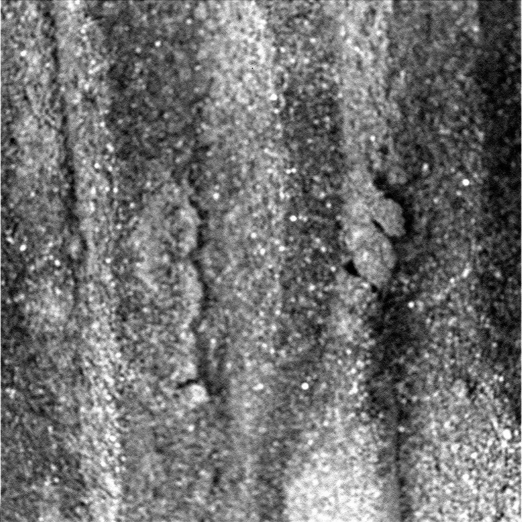 The Image
