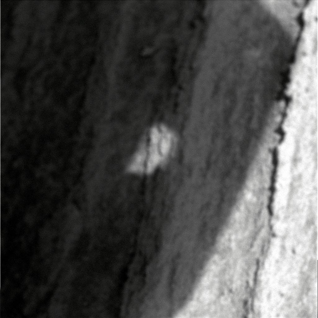 The Image