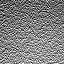 The Image