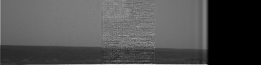 The Image