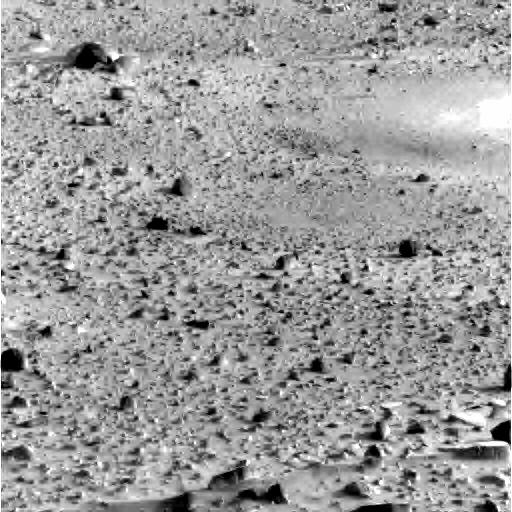 The Image