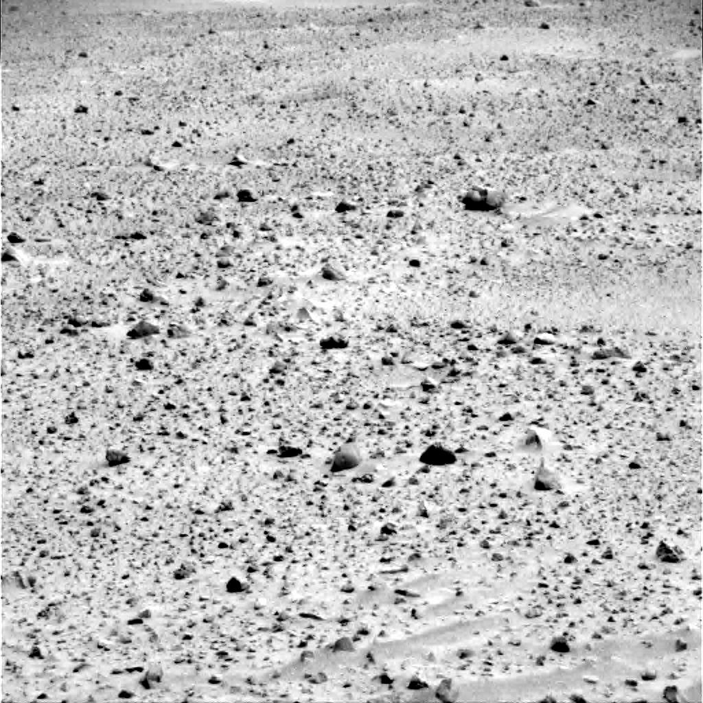 The Image
