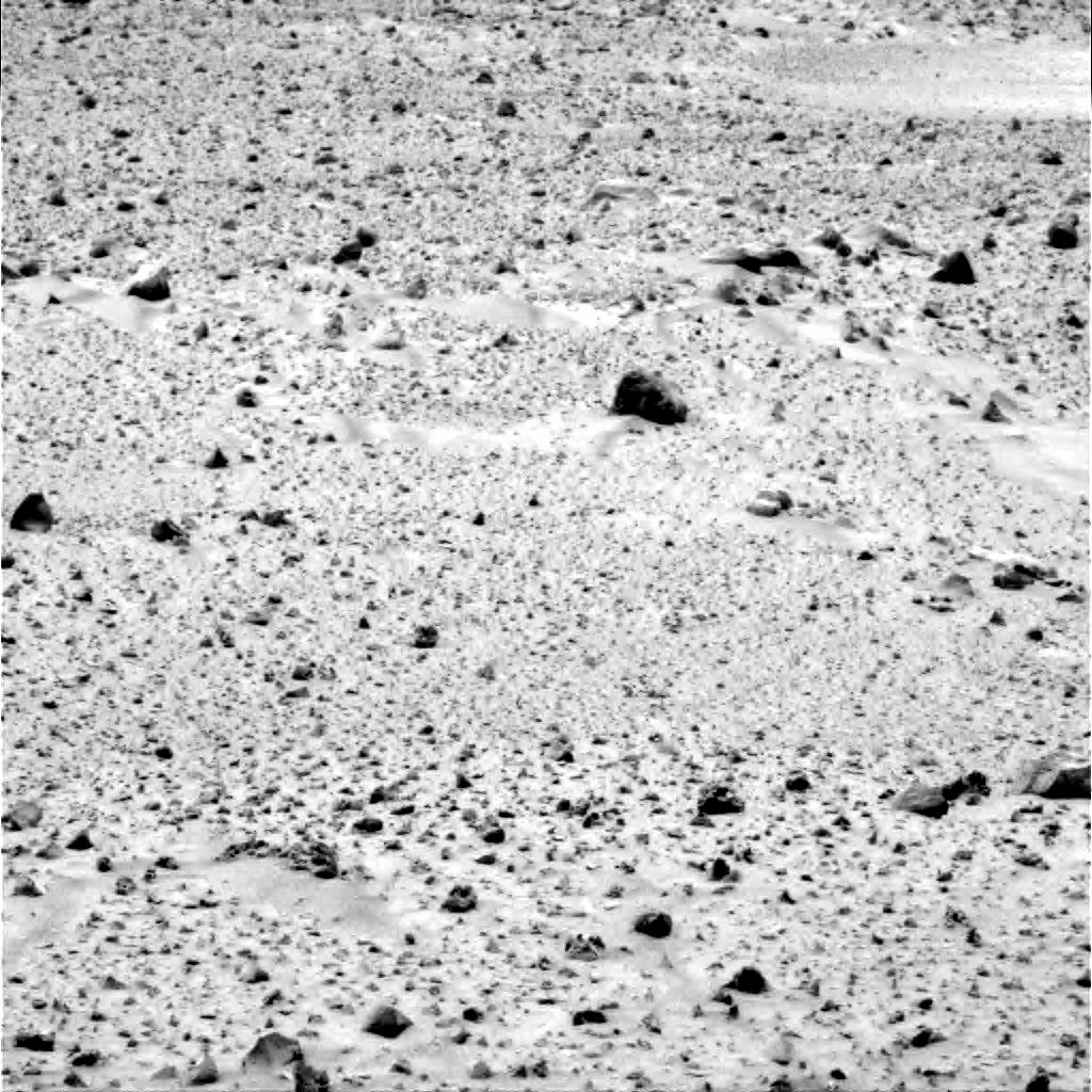 The Image