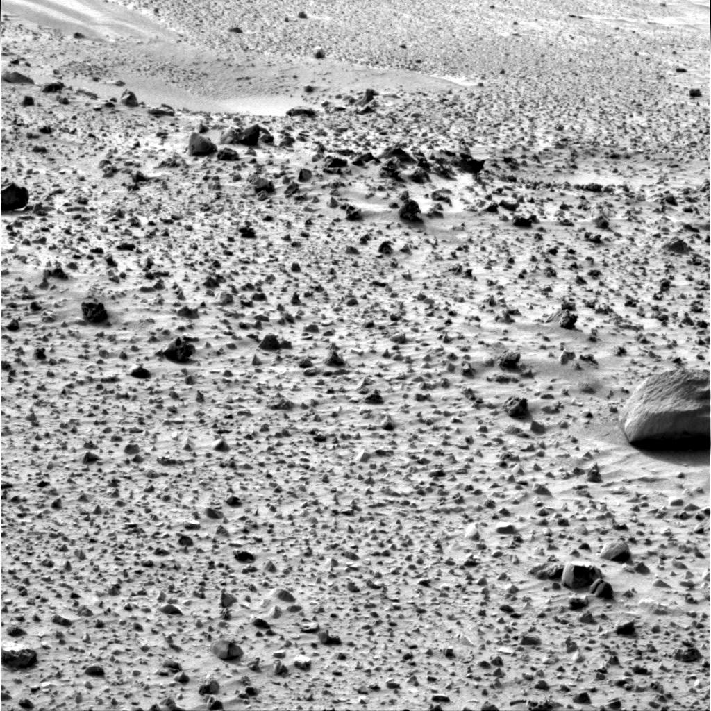 The Image