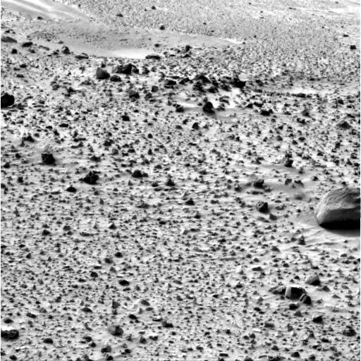 The Image