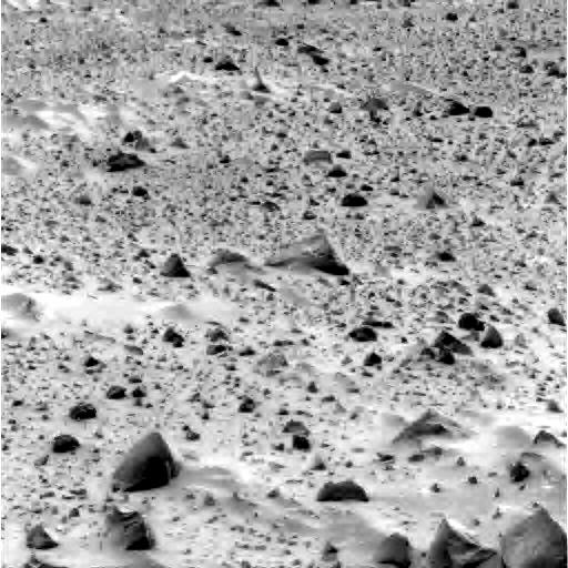 The Image
