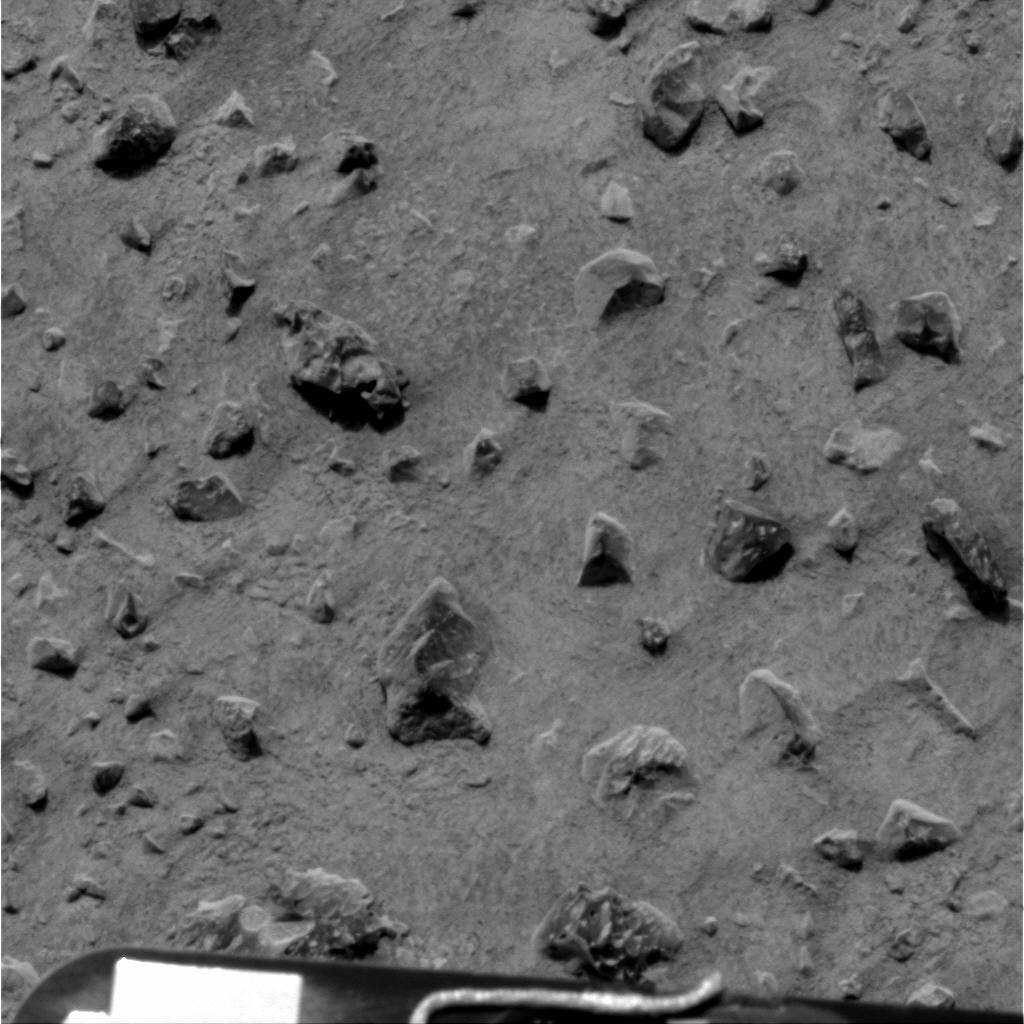The Image