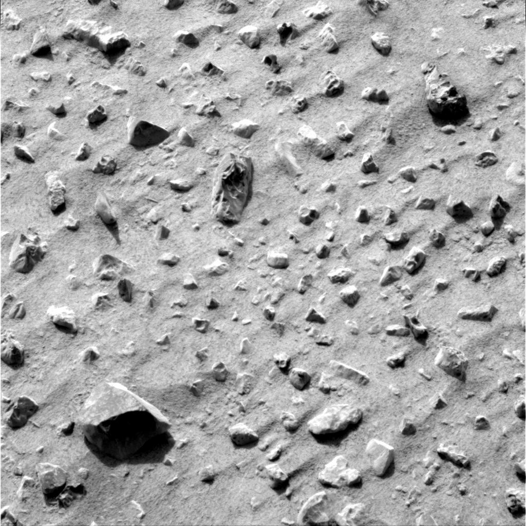 The Image