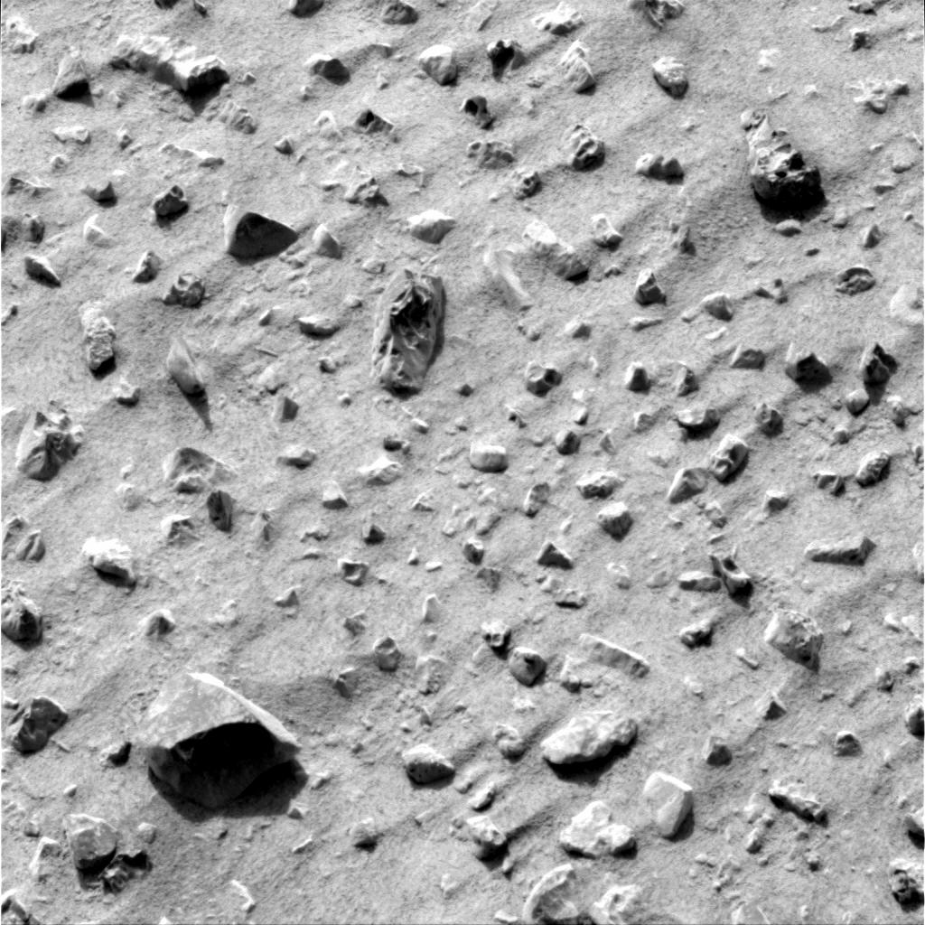 The Image