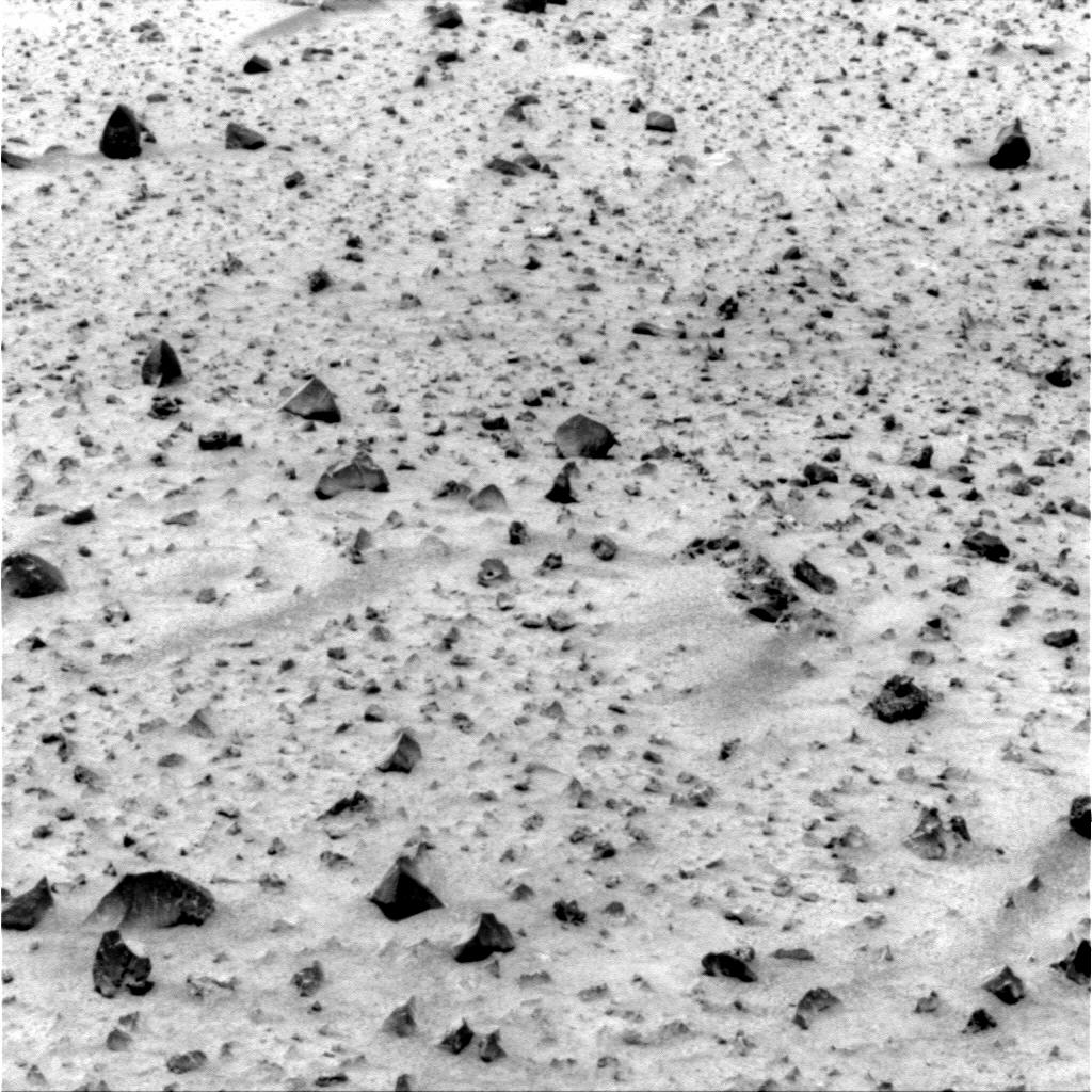 The Image