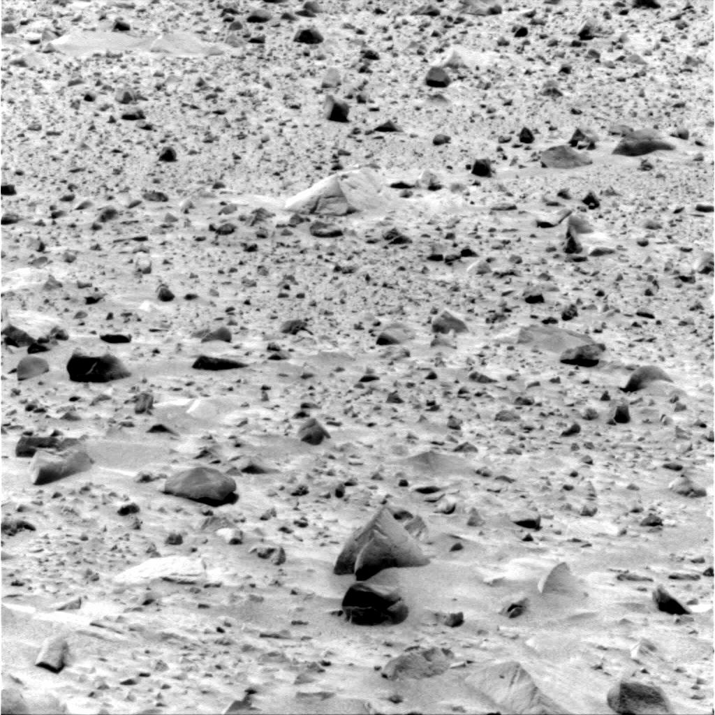The Image