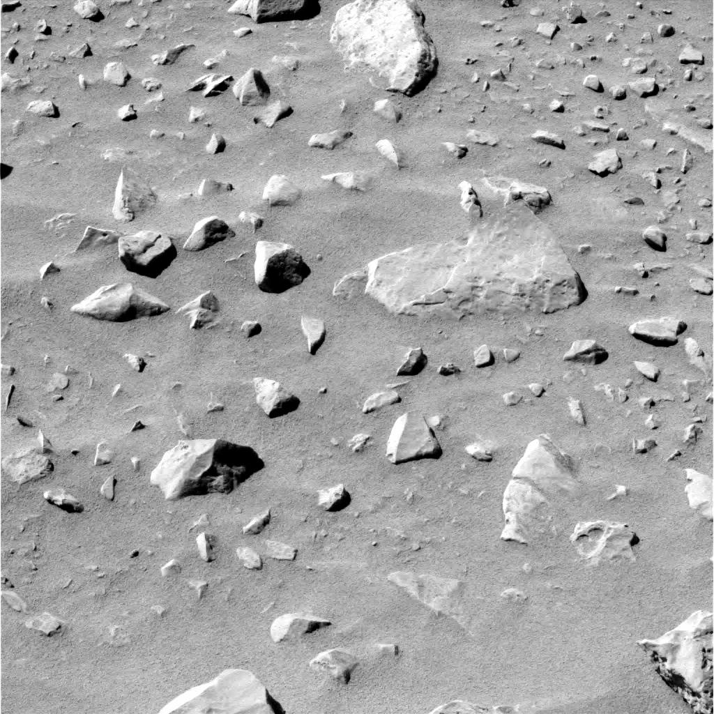 The Image