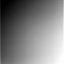 The Image