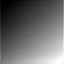 The Image