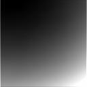 The Image
