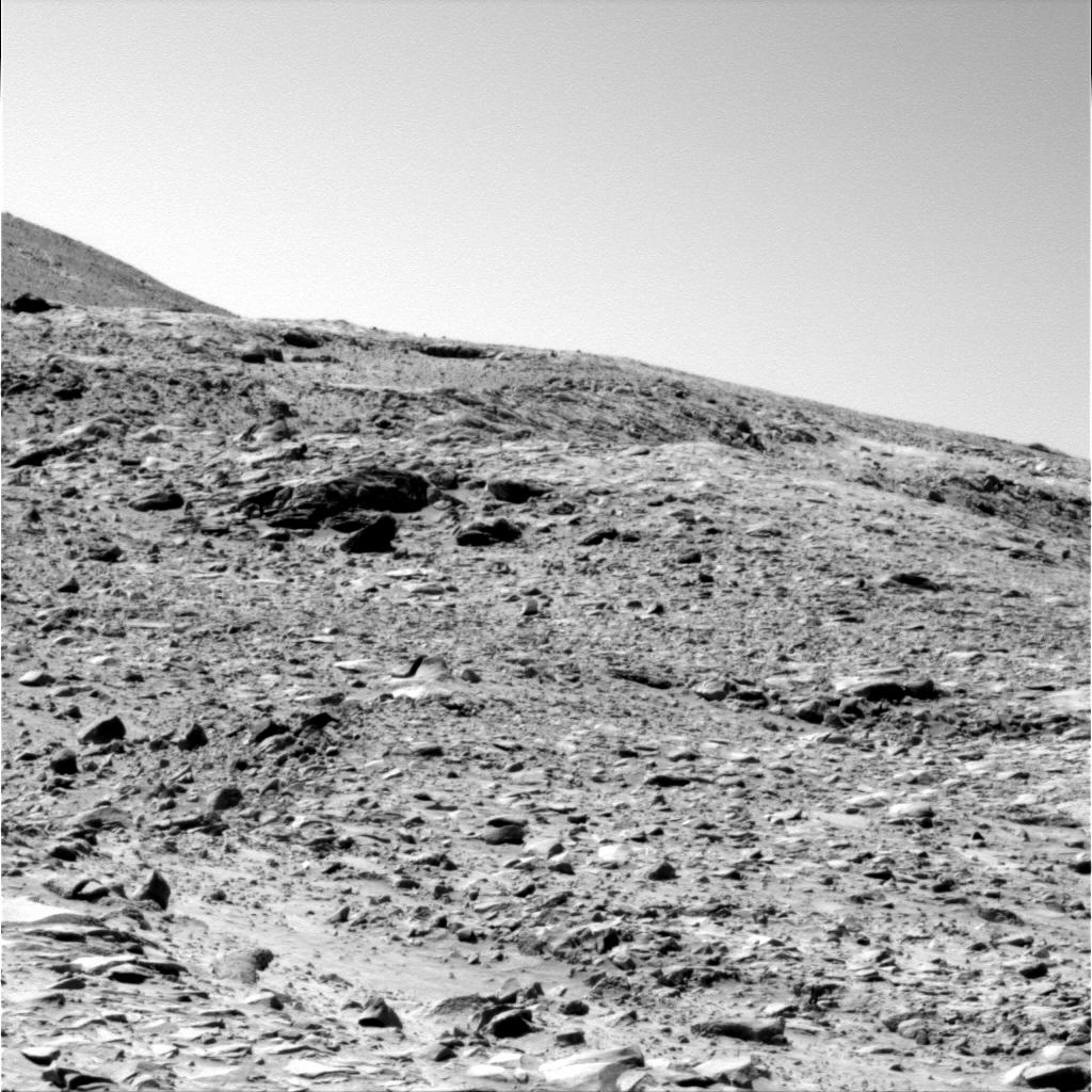The Image