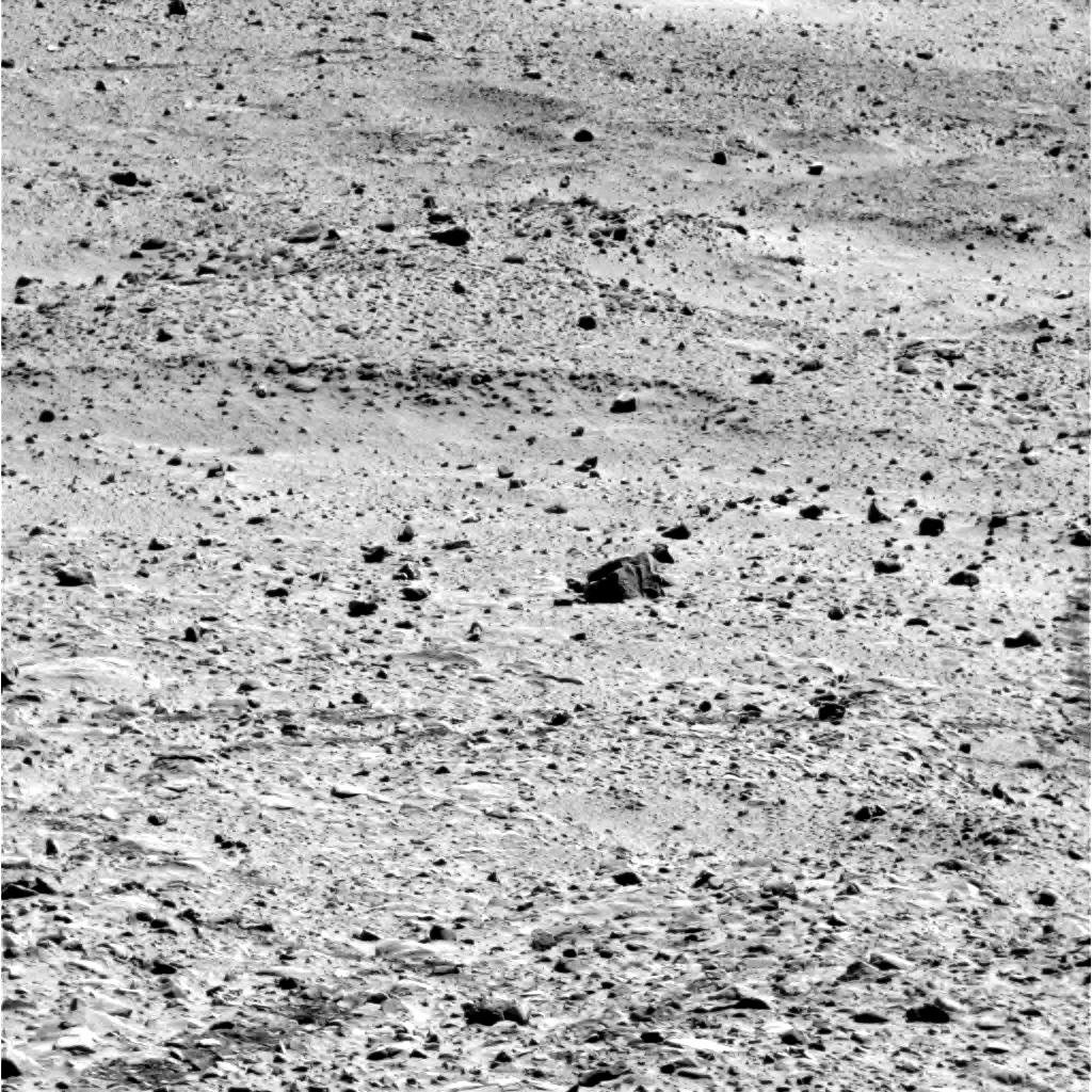 The Image