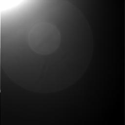 The Image