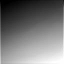 The Image
