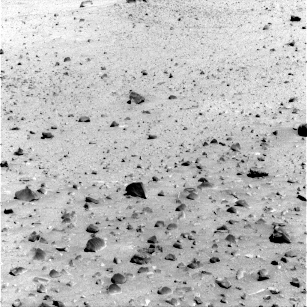 The Image
